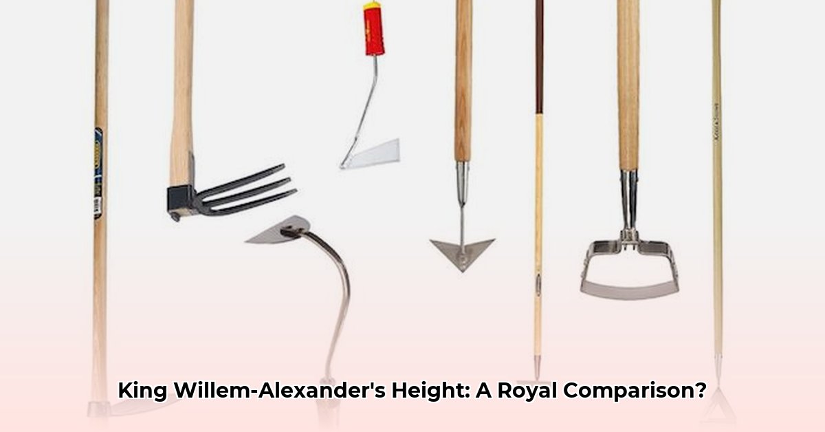 hoe-lang-is-willem-alexander-koning